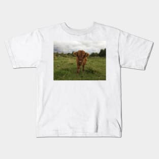 Scottish Highland Cattle Calf 1539 Kids T-Shirt